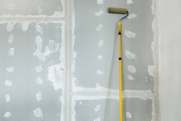 Environmental Consulting for Mold Prevention in Minco, OK
